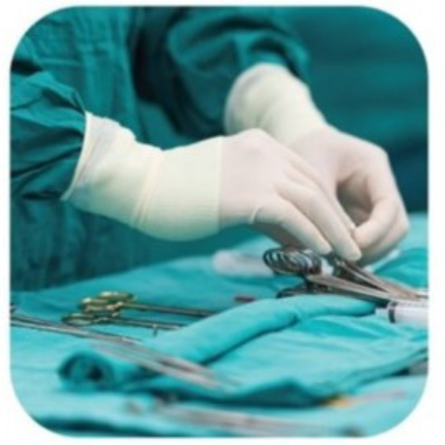 TOP GLOVE SURGICAL GLOVES POWDER FREE 50 PAIRS/BOX