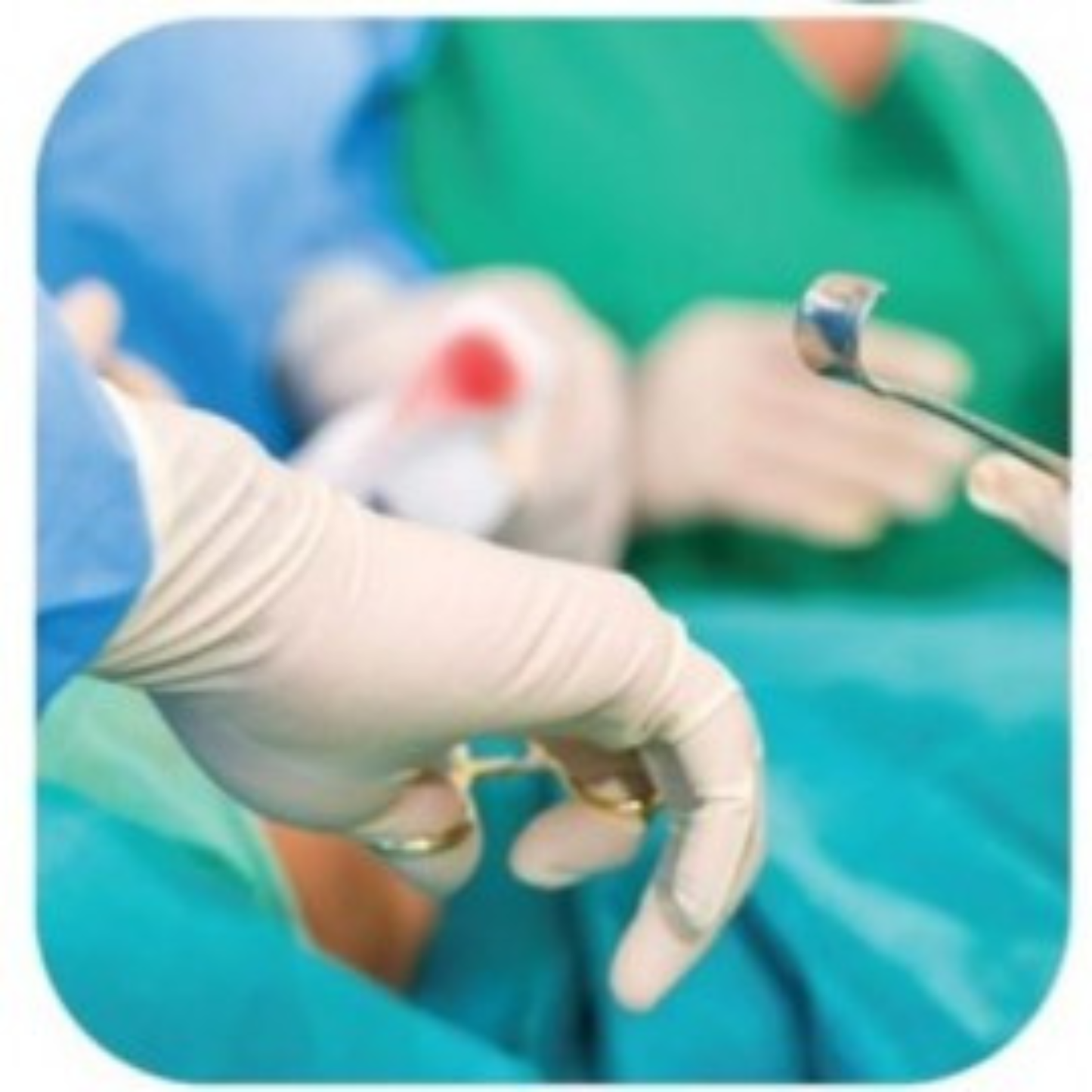 TOP GLOVE SURGICAL GLOVES POWDER FREE 50 PAIRS/BOX